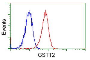 GSTT2 Antibody - Flow cytometry of Jurkat cells, using anti-GSTT2 antibody, (Red), compared to a nonspecific negative control antibody, (Blue).