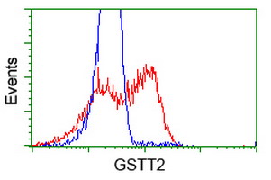 GSTT2 Antibody - HEK293T cells transfected with either overexpress plasmid (Red) or empty vector control plasmid (Blue) were immunostained by anti-GSTT2 antibody, and then analyzed by flow cytometry.