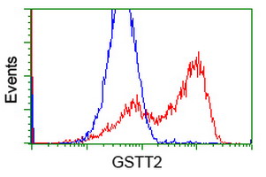 GSTT2 Antibody - HEK293T cells transfected with either overexpress plasmid (Red) or empty vector control plasmid (Blue) were immunostained by anti-GSTT2 antibody, and then analyzed by flow cytometry.