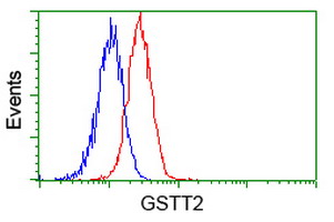 GSTT2 Antibody - Flow cytometry of HeLa cells, using anti-GSTT2 antibody, (Red), compared to a nonspecific negative control antibody, (Blue).