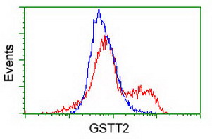 GSTT2 Antibody - HEK293T cells transfected with either overexpress plasmid (Red) or empty vector control plasmid (Blue) were immunostained by anti-GSTT2 antibody, and then analyzed by flow cytometry.
