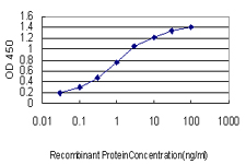 GT335 / ES1 Antibody - Detection limit for recombinant GST tagged C21orf33 is approximately 0.03 ng/ml as a capture antibody.