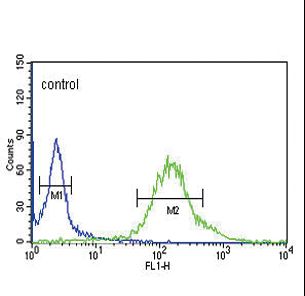 GTSE1 Antibody - GTSE1 Antibody flow cytometry of HeLa cells (right histogram) compared to a negative control cell (left histogram). FITC-conjugated goat-anti-rabbit secondary antibodies were used for the analysis.