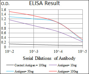 GUCY1A1 / GUCY1A3 Antibody - Red: Control Antigen (100ng); Purple: Antigen (10ng); Green: Antigen (50ng); Blue: Antigen (100ng);