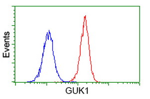GUK1 / Guanylate Kinase 1 Antibody - Flow cytometry of Jurkat cells, using anti-GUK1 antibody (Red), compared to a nonspecific negative control antibody (Blue).