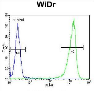 GUSB / Beta Glucuronidase Antibody - GUSB Antibody flow cytometry of WiDr cells (right histogram) compared to a negative control cell (left histogram). FITC-conjugated goat-anti-rabbit secondary antibodies were used for the analysis.