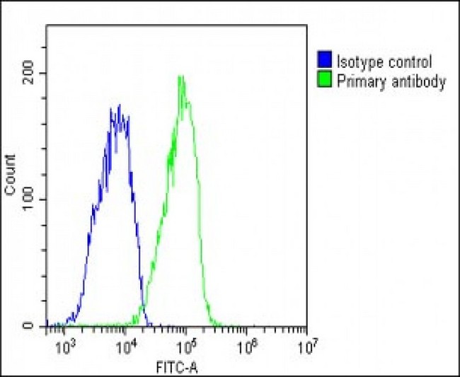 GYG1 / Glycogenin Antibody - Overlay histogram showing HepG2 cells stained with GYG1 Antibody (C-Term) (green line). The cells were fixed with 2% paraformaldehyde (10 min) and then permeabilized with 90% methanol for 10 min. The cells were then icubated in 2% bovine serum albumin to block non-specific protein-protein interactions followed by the antibody (GYG1 Antibody (C-Term), 1:25 dilution) for 60 min at 37°C. The secondary antibody used was Goat-Anti-Rabbit IgG, DyLight® 488 Conjugated Highly Cross-Adsorbed (1583138) at 1/200 dilution for 40 min at 37°C. Isotype control antibody (blue line) was rabbit IgG1 (1µg/1x10^6 cells) used under the same conditions. Acquisition of >10, 000 events was performed.