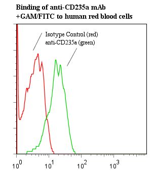 GYPA / CD235a / Glycophorin A Antibody - Flow cytometry of GYPA / CD235a / Glycophorin A antibody This image was taken for the unmodified form of this product. Other forms have not been tested.