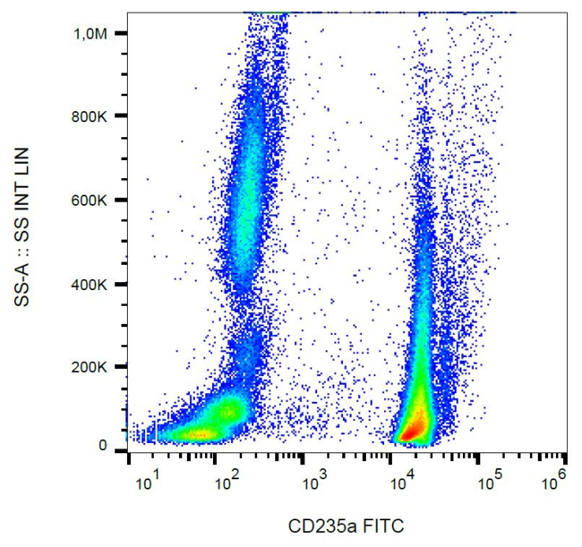 GYPA / CD235a / Glycophorin A Antibody - Surface staining of CD235a in human peripheral blood (erythrocytes and leukocytes) with anti-CD235a (JC159) FITC.