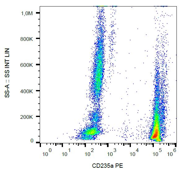 GYPA / CD235a / Glycophorin A Antibody - Surface staining of CD235a in human peripheral blood (erythrocytes and leukocytes) with anti-CD235a (JC159) PE.