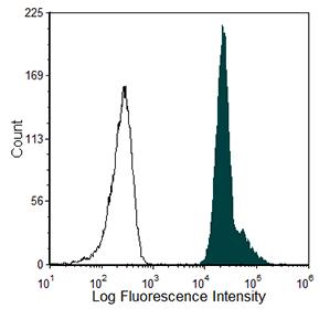GYPA / CD235a / Glycophorin A Antibody - Human red blood cells were stained with anti- CD235a (clone: YTH 89.1) (filled histogram) or Rat IgG2b isotype control (open histogram).