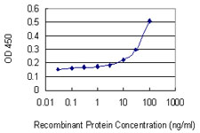 GZMA / Granzyme A Antibody - Detection limit for recombinant GST tagged GZMA is 3 ng/ml as a capture antibody.