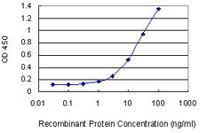 GZMB / Granzyme B Antibody - Detection limit for recombinant GST tagged GZMB is 0.3 ng/ml as a capture antibody.