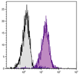 H-2Kb/Db Antibody - C57BL/6 mouse splenocytes were stained with Mouse Anti-Mouse H-2Db-PE.