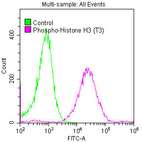 H3F3B Antibody - Overlay histogram showing Hela cells stained (red line) at dilution of 1:50. The cells were fixed with 70% Ethylalcohol (18h) and then permeabilized with 0.3% Triton X-100 for 2 min.The cells were then incubated in 1x PBS /10% normal Goat serum to block non-specific protein-protein interactions followed by primary antibody for 1 h at 4C.The Secondary antibody used was FITC Goat anti-rabbit IgG (H+L) at 1/200 dilution for 1 h at 4C. Control antibody (green line) was used under the same conditions. Acquisition of >10,000 events was performed.