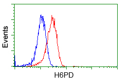 H6PD / G6PDH Antibody - Flow cytometric Analysis of Jurkat cells, using anti-H6PD antibody, (Red), compared to a nonspecific negative control antibody, (Blue).