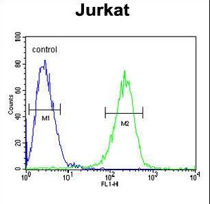 HADHB Antibody - HADHB Antibody flow cytometry of Jurkat cells (right histogram) compared to a negative control cell (left histogram). FITC-conjugated goat-anti-rabbit secondary antibodies were used for the analysis.