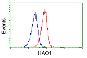 HAO1 Antibody - Flow cytometry of Jurkat cells, using anti-HAO1 antibody (Red), compared to a nonspecific negative control antibody (Blue).