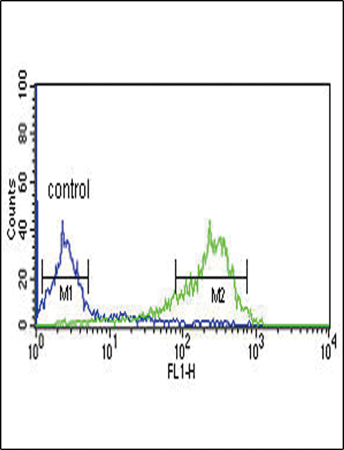 HAPLN1 Antibody - HAPLN1 Antibody flow cytometry of MCF-7 cells (right histogram) compared to a negative control cell (left histogram). FITC-conjugated goat-anti-rabbit secondary antibodies were used for the analysis.