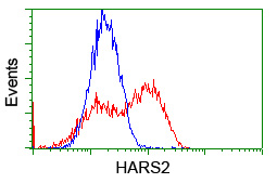 HARS2 Antibody - HEK293T cells transfected with either overexpress plasmid (Red) or empty vector control plasmid (Blue) were immunostained by anti-HARS2 antibody, and then analyzed by flow cytometry.