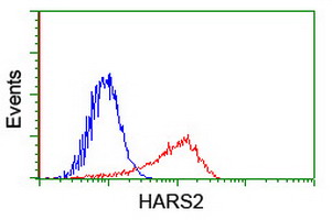HARS2 Antibody - HEK293T cells transfected with either overexpress plasmid (Red) or empty vector control plasmid (Blue) were immunostained by anti-HARS2 antibody, and then analyzed by flow cytometry.