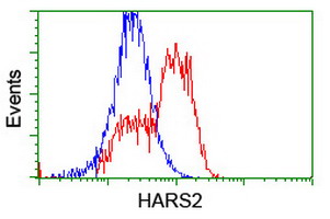 HARS2 Antibody - HEK293T cells transfected with either overexpress plasmid (Red) or empty vector control plasmid (Blue) were immunostained by anti-HARS2 antibody, and then analyzed by flow cytometry.