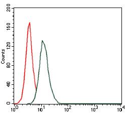 HAS3 Antibody - HAS3 Antibody in Flow Cytometry (Flow)