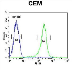 HAUS5 Antibody - HAUS5 Antibody flow cytometry of CEM cells (right histogram) compared to a negative control cell (left histogram). FITC-conjugated goat-anti-rabbit secondary antibodies were used for the analysis.