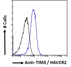 HAVCR2 / TIM-3 Antibody - Goat Anti-TIM3 / HAVCR2 Antibody Flow cytometric analysis of paraformaldehyde fixed HepG2 cells (blue line), permeabilized with 0.5% Triton. Primary incubation 1hr (10ug/ml) followed by Alexa Fluor 488 secondary antibody (1ug/ml). IgG control: Unimmunized goat IgG (black line) followed by Alexa Fluor 488 secondary antibody.