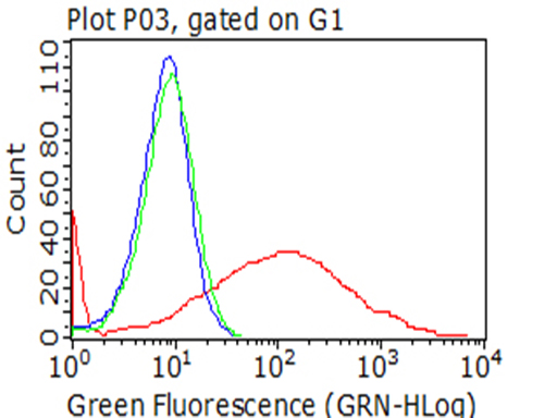 HAVCR2 / TIM-3 Antibody - Flow cytometric analysis of living 293T cells transfected with HAVCR2 overexpression plasmid , Red)/empty vector  Blue) using anti-HAVCR2 antibody. Cells incubated with a non-specific antibody. (Green) were used as isotype control. (1:100)