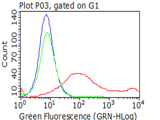 HAVCR2 / TIM-3 Antibody - Flow cytometric analysis of living 293T cells transfected with HAVCR2 overexpression plasmid , Red)/empty vector  Blue) using anti-HAVCR2 antibody. Cells incubated with a non-specific antibody. (Green) were used as isotype control. (1:100)