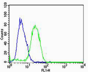 HBG2 / Hemoglobin Gamma 2 Antibody - Flow cytometric of U-87 MG cells with HBG2 Antibody (green) compared to an isotype control of rabbit IgG (blue). Antibody was diluted at 1:25 dilution. An Alexa Fluor 488 goat anti-rabbit lgG at 1:400 dilution was used as the secondary antibody.