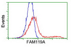 HCA557B / METTL21A Antibody - HEK293T cells transfected with either overexpress plasmid (Red) or empty vector control plasmid (Blue) were immunostained by anti-FAM119A antibody, and then analyzed by flow cytometry.
