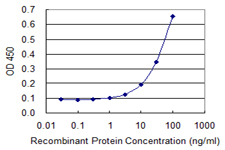 HCCS Antibody - Detection limit for recombinant GST tagged HCCS is 1 ng/ml as a capture antibody.