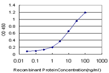 HCLS1 Antibody - Detection limit for recombinant GST tagged HCLS1 is approximately 0.1 ng/ml as a capture antibody.
