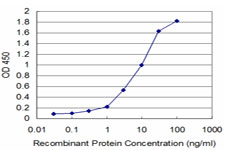 HCLS1 Antibody - Detection limit for recombinant GST tagged HCLS1 is approximately 0.3 ng/ml as a capture antibody.