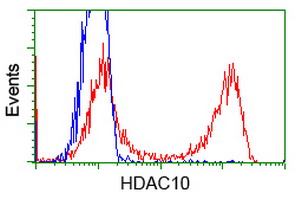 HDAC10 Antibody - HEK293T cells transfected with either overexpress plasmid (Red) or empty vector control plasmid (Blue) were immunostained by anti-HDAC10 antibody, and then analyzed by flow cytometry.