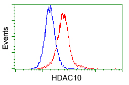 HDAC10 Antibody - Flow cytometric analysis of Hela cells, using anti-HDAC10 antibody, (Red) compared to a nonspecific negative control antibody (Blue).