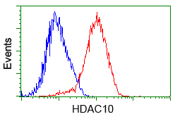 HDAC10 Antibody - Flow cytometric analysis of Jurkat cells, using anti-HDAC10 antibody, (Red) compared to a nonspecific negative control antibody (Blue).