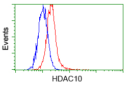 HDAC10 Antibody - Flow cytometry of HeLa cells, using anti-HDAC10 antibody, (Red) compared to a nonspecific negative control antibody (Blue).