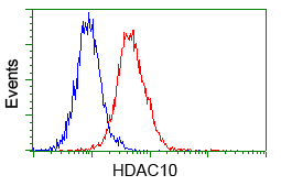 HDAC10 Antibody - Flow cytometry of Jurkat cells, using anti-HDAC10 antibody, (Red) compared to a nonspecific negative control antibody (Blue).