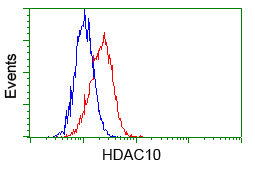 HDAC10 Antibody - Flow cytometric analysis of Hela cells, using anti-HDAC10 antibody, (Red) compared to a nonspecific negative control antibody (Blue).