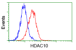 HDAC10 Antibody - Flow cytometric analysis of Jurkat cells, using anti-HDAC10 antibody, (Red) compared to a nonspecific negative control antibody (Blue).