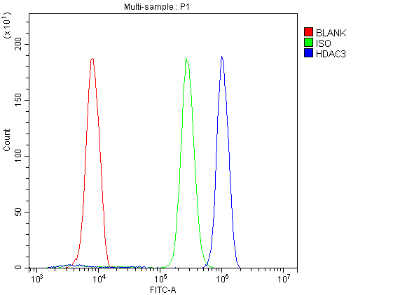 HDAC3 Antibody - Flow Cytometry analysis of U937cells using anti-HDAC3 antibody. Overlay histogram showing U937 cells stained with anti-HDAC3 antibody (Blue line). The cells were blocked with 10% normal goat serum. And then incubated with rabbit anti-HDAC3 Antibody (1µg/10E6 cells) for 30 min at 20°C. DyLight®488 conjugated goat anti-rabbit IgG (5-10µg/10E6 cells) was used as secondary antibody for 30 minutes at 20°C. Isotype control antibody (Green line) was rabbit IgG (1µg/10E6 cells) used under the same conditions. Unlabelled sample (Red line) was also used as a control.
