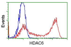 HDAC6 Antibody - HEK293T cells transfected with either overexpress plasmid (Red) or empty vector control plasmid (Blue) were immunostained by anti-HDAC6 antibody, and then analyzed by flow cytometry.