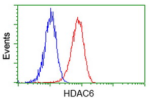 HDAC6 Antibody - Flow cytometric Analysis of Hela cells, using anti-HDAC6 antibody, (Red), compared to a nonspecific negative control antibody, (Blue).