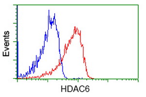 HDAC6 Antibody - Flow cytometric Analysis of Jurkat cells, using anti-HDAC6 antibody, (Red), compared to a nonspecific negative control antibody, (Blue).