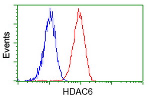 HDAC6 Antibody - Flow cytometry of HeLa cells, using anti-HDAC6 antibody, (Red), compared to a nonspecific negative control antibody, (Blue).