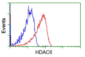 HDAC6 Antibody - Flow cytometry of Jurkat cells, using anti-HDAC6 antibody, (Red), compared to a nonspecific negative control antibody, (Blue).