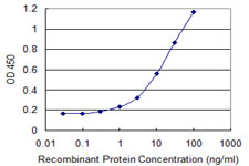 HDAC8 Antibody - Detection limit for recombinant GST tagged HDAC8 is 0.3 ng/ml as a capture antibody.